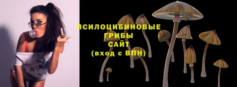 купить наркоту  Нижнеудинск  Псилоцибиновые грибы MAGIC MUSHROOMS 